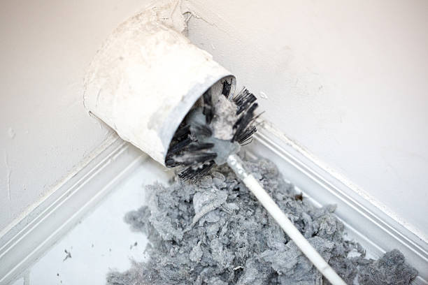 Best Professional Duct Cleaning Services  in Dawson, TX